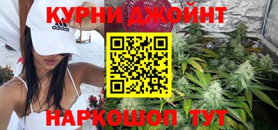 гидра Волгодонск