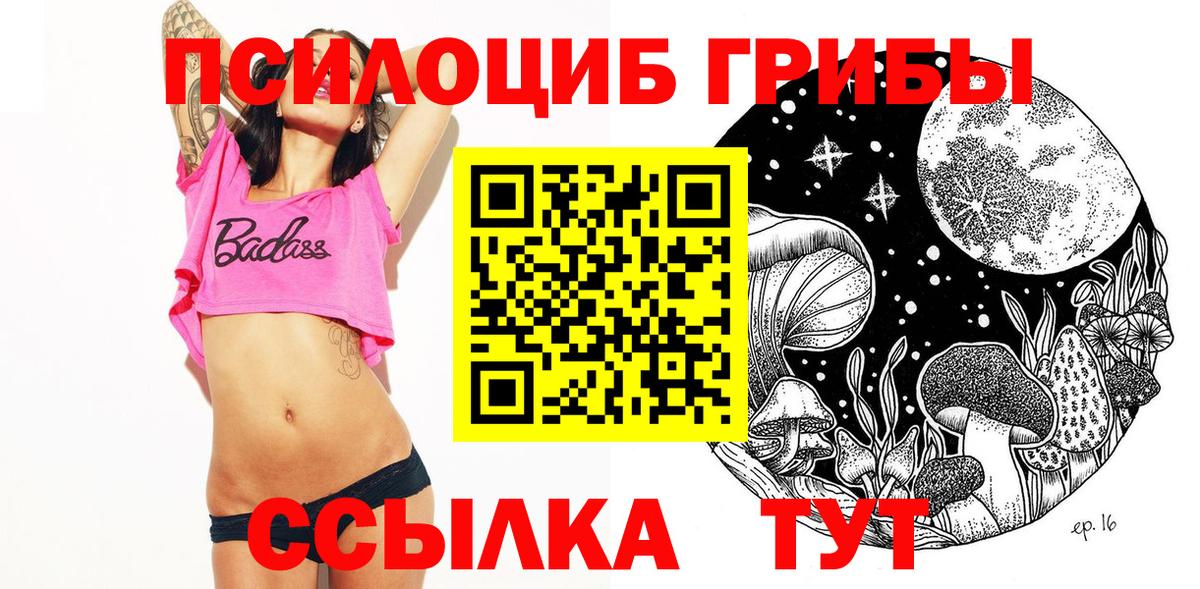 Псилоцибиновые грибы Psilocybe  хочу наркоту  Петропавловск-Камчатский  Псилоцибиновые грибы MAGIC MUSHROOMS 