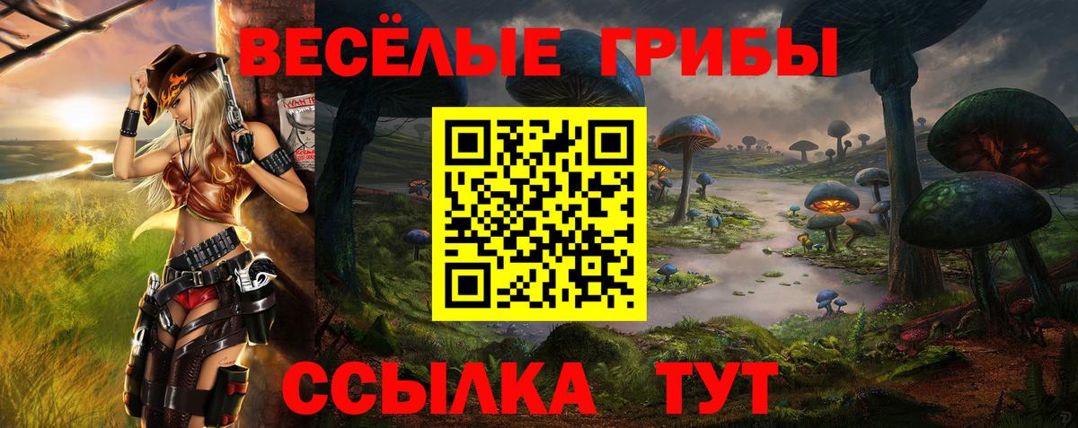 МЕТАМФЕТАМИН  Меф кристаллы  APVP СОЛЬ кристаллы  ГАШ  Петропавловск-Камчатский  КОКАИН 