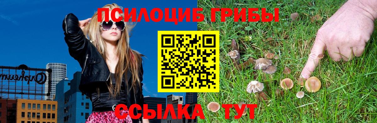 Псилоцибиновые грибы ЛСД Петропавловск-Камчатский